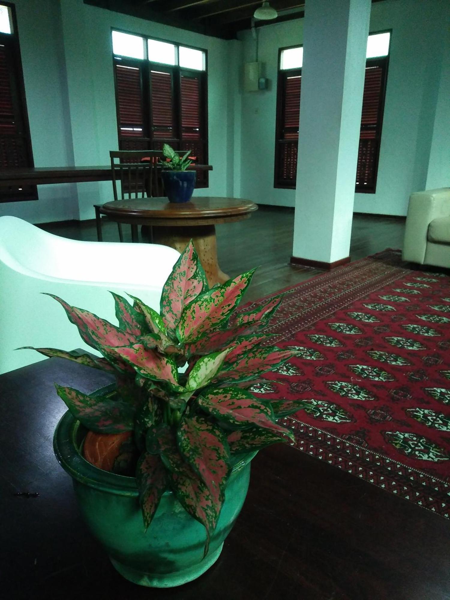 Thesanctuary@Telagapapan Villa Kampung Hulu Caluk Ngoại thất bức ảnh